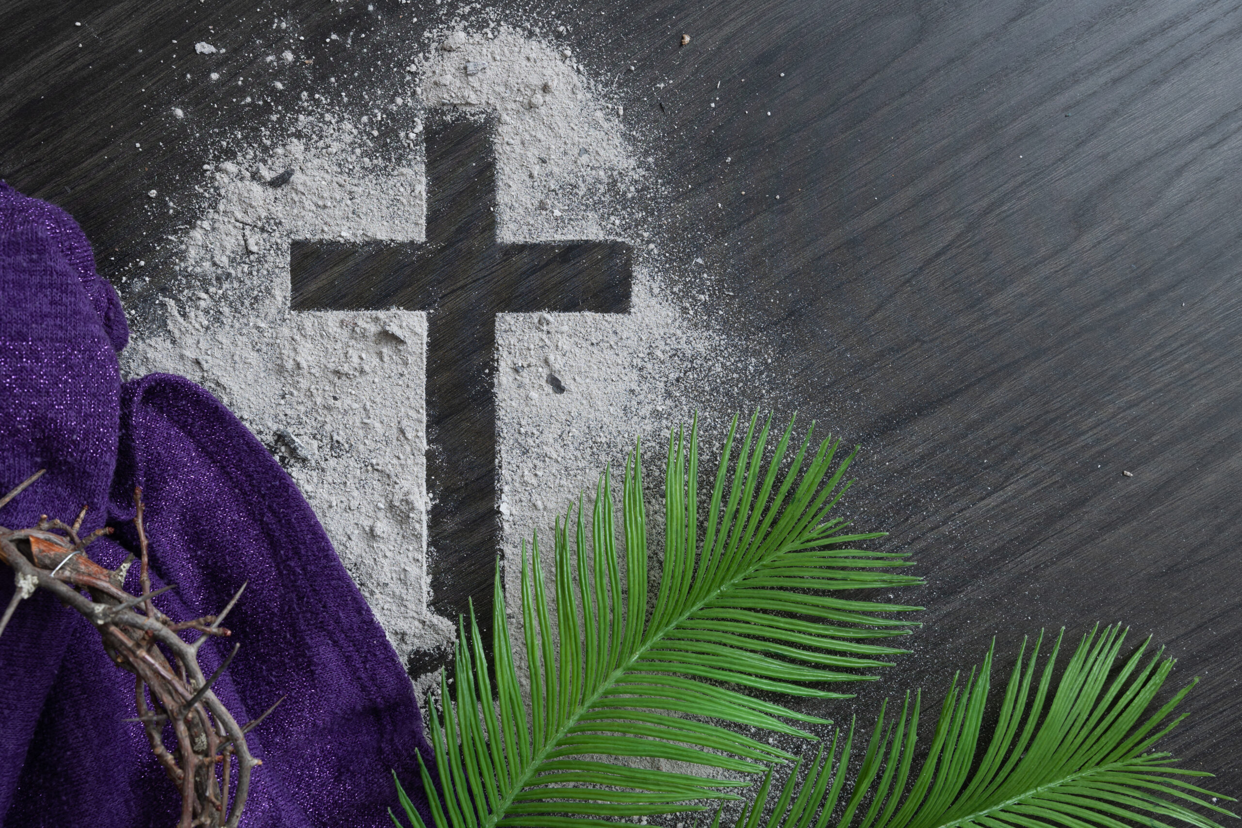 “Rooted in His Word, Growing in His Love”